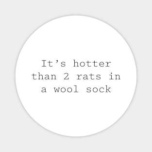 It's hotter than 2 rats in a wool sock Magnet